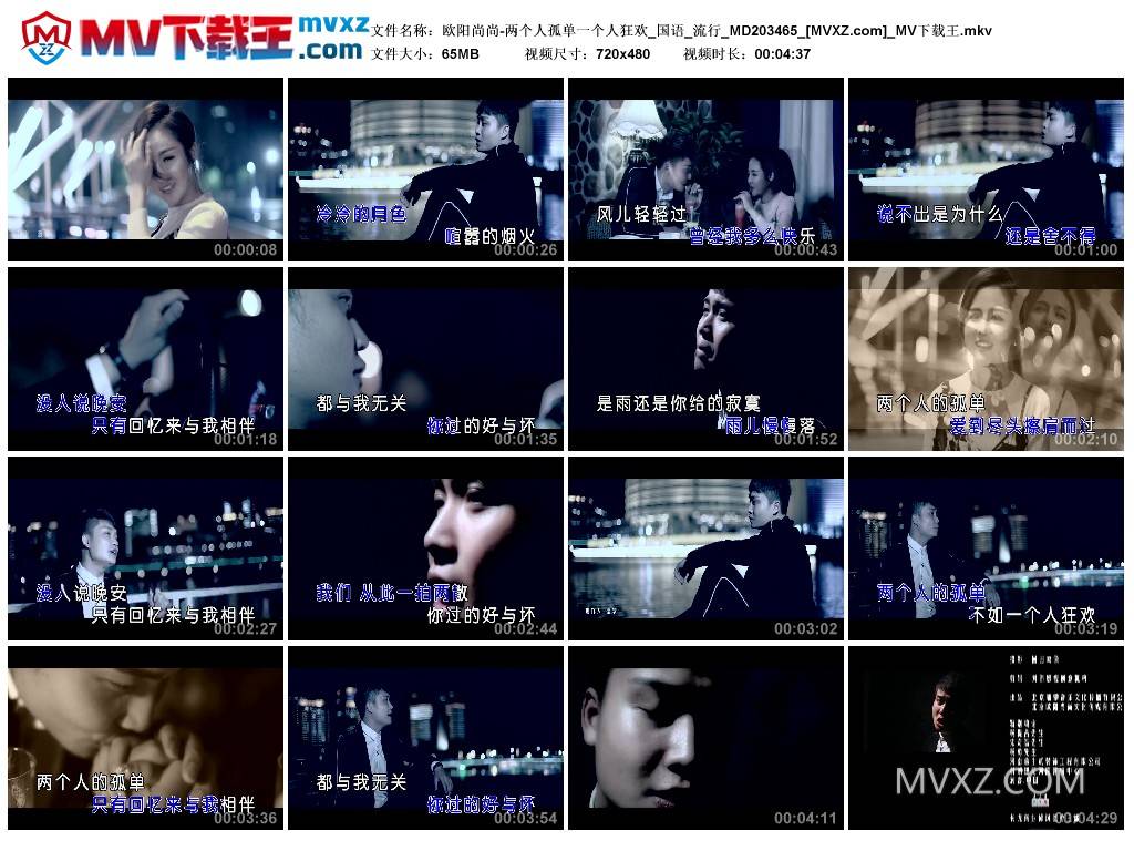 欧阳尚尚-两个人孤单一个人狂欢_国语_流行_MD203465